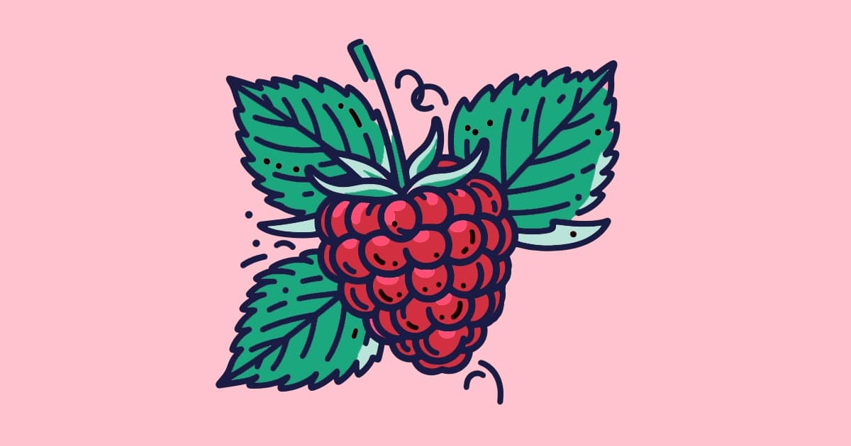 Quarterly Software Update: Raspberry